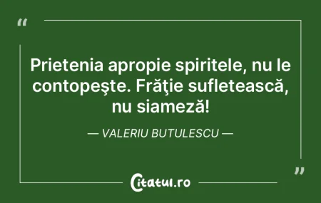 Prietenia apropie spiritele, nu le conto...