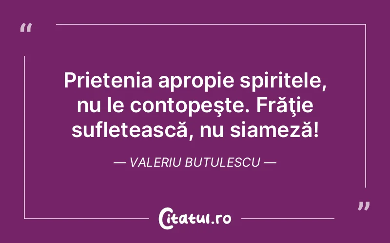 Citat Valeriu Butulescu - citate prietenie