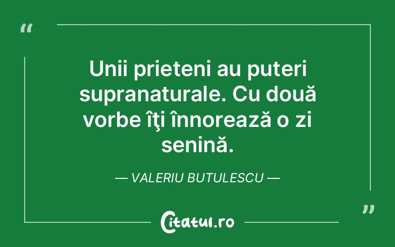 Citat Valeriu Butulescu - citate prietenie