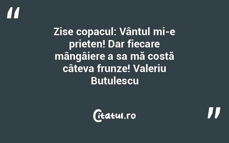 Zise copacul: Vântul mi-e prieten! Dar fiecare mângâiere a sa mă costă câteva frunze! Valeriu Butulescu