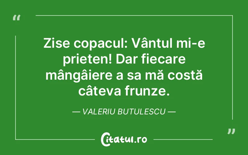 Citat Valeriu Butulescu - citate prietenie