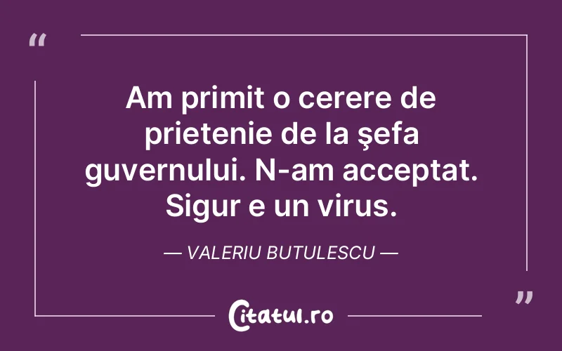 Citat Valeriu Butulescu - citate prietenie
