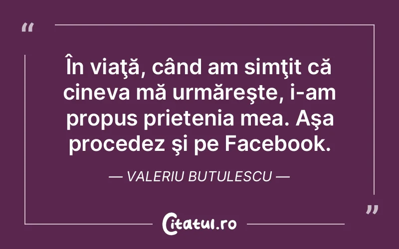 Citat Valeriu Butulescu - citate prietenie