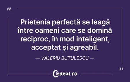 Prietenia perfectă se leagă între oam...