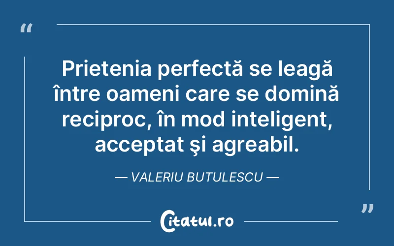 Citat Valeriu Butulescu - citate prietenie