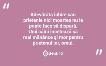 Adevărata iubire sau prietenie nici moartea nu le poate face să dispară. Unii câini încetează să mai mănânce şi mor pentru prietenul lor, omul.  ...