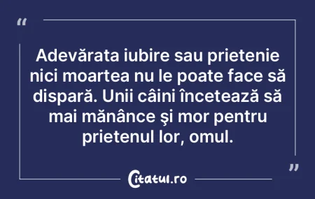 Adevărata iubire sau prietenie nici moa...