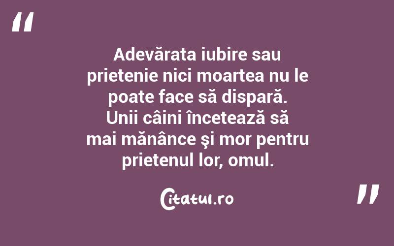 Adevărata iubire sau prietenie nici moartea nu le poate face să dispară. Unii câini încetează să mai mănânce şi mor pentru prietenul lor, omul.  
