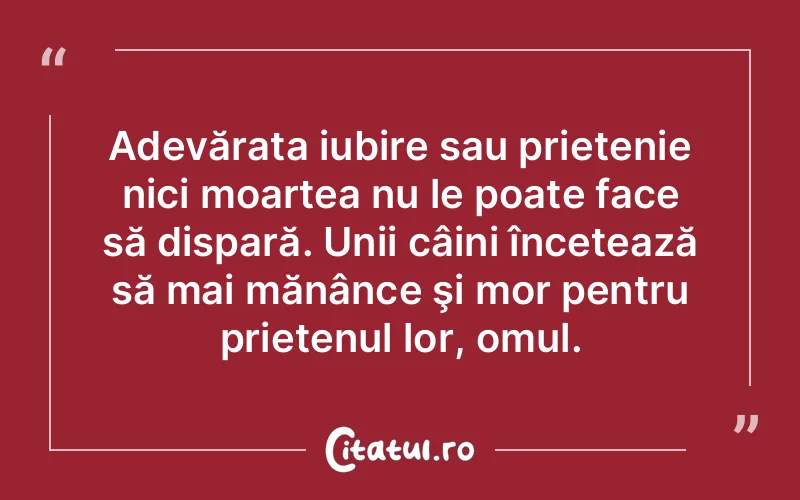 Citat Autor necunoscut - citate prietenie