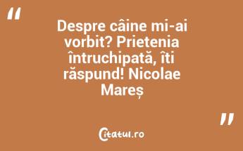 Despre câine mi-ai vorbit? Prietenia întruchipată, îți răspund! Nicolae Mareș...