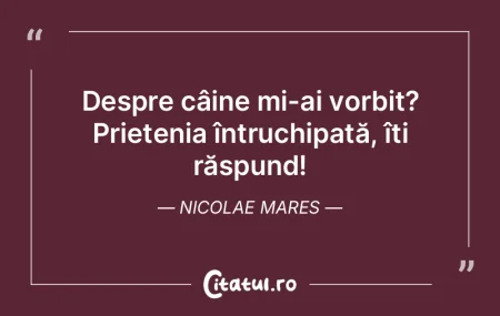 Despre câine mi-ai vorbit? Prietenia î...
