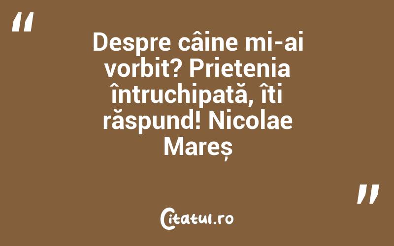 Despre câine mi-ai vorbit? Prietenia întruchipată, îți răspund! Nicolae Mareș
