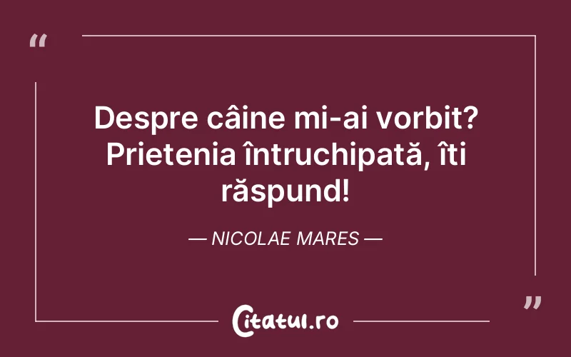 Citat Nicolae Mares - citate prietenie