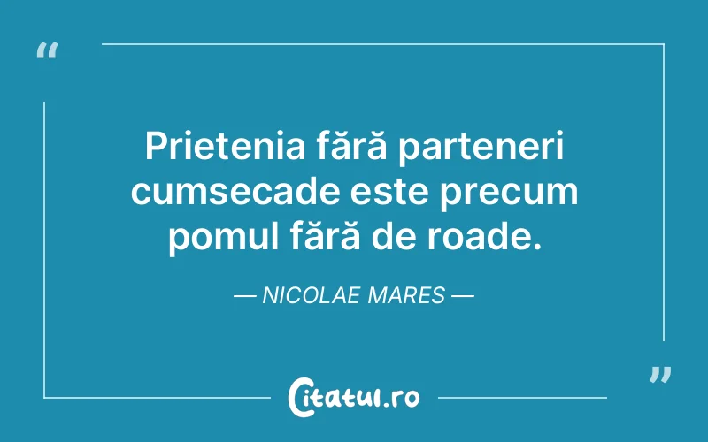 Citat Nicolae Mares - citate prietenie