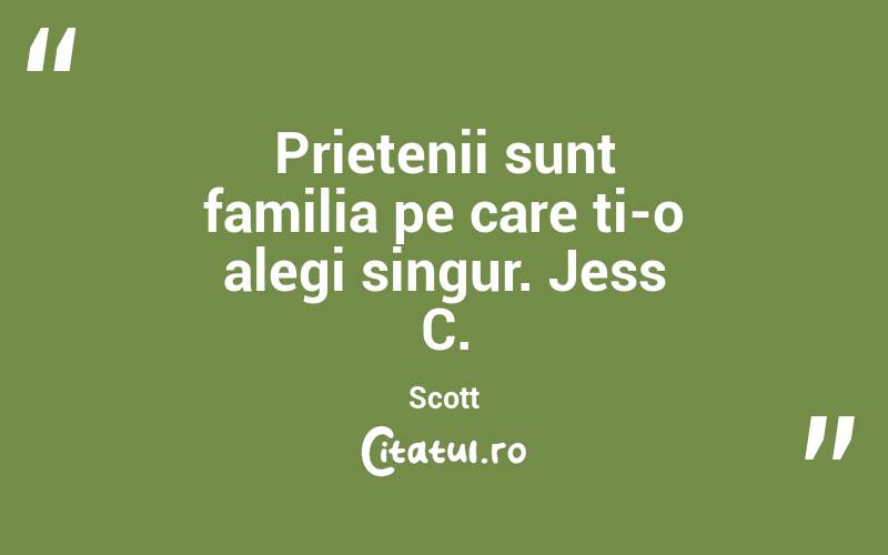 Prietenii sunt familia pe care ți-o alegi singur. Jess C. Scott
