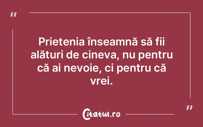 Citat Autor necunoscut - citate prietenie