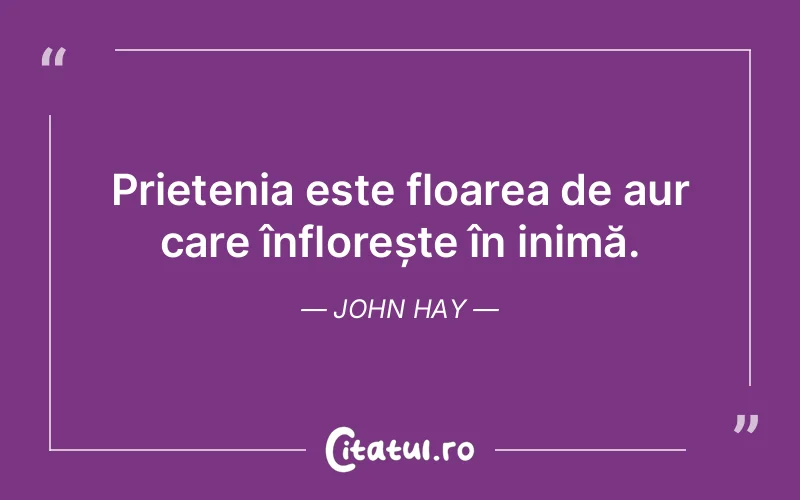 Citat John Hay - citate prietenie