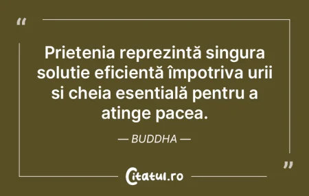 Prietenii ne oferă îndrumare, în timp...
