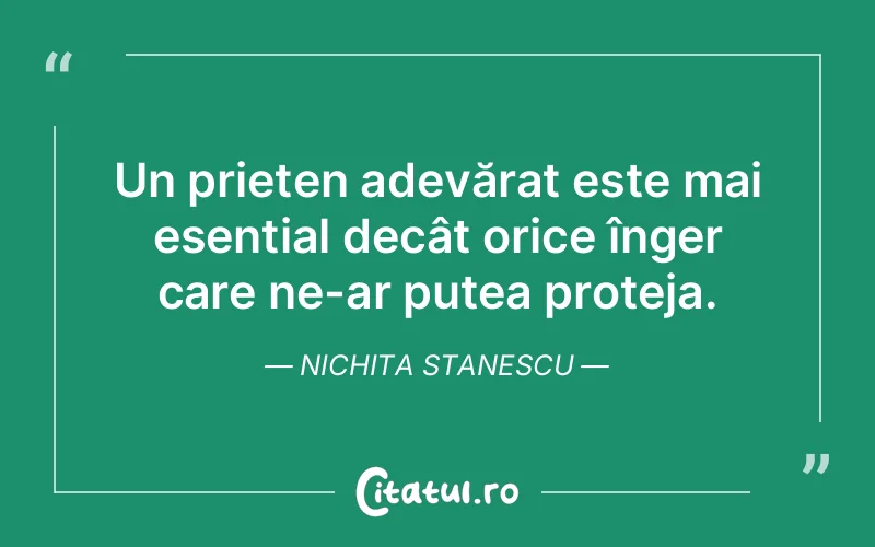 Citat Nichita Stanescu - citate prietenie