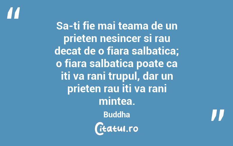 Sa-ti fie mai teama de un prieten nesincer si rau decat de o fiara salbatica; o fiara salbatica poate ca iti va rani trupul, dar un prieten rau iti va rani mintea. Buddha