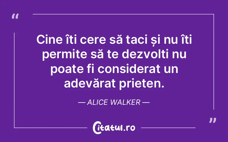 Citat Alice Walker - citate prietenie