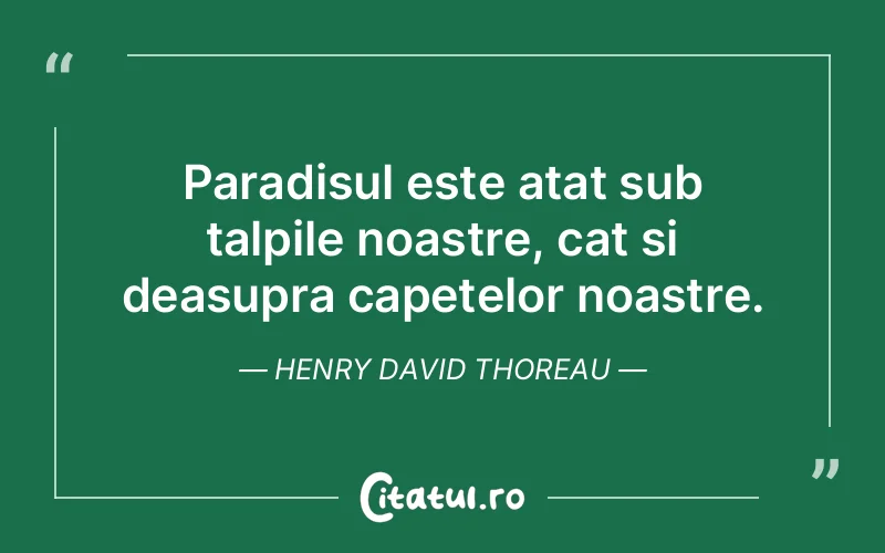 Citat Henry David Thoreau - citate prietenie