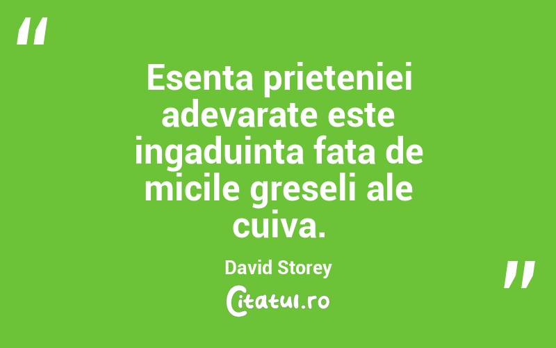 Esenta prieteniei adevarate este ingaduinta fata de micile greseli ale cuiva. David Storey
