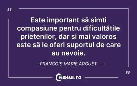 Cel mai bun prieten este acela care scoa...