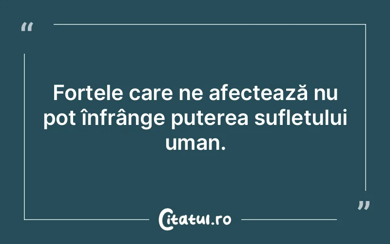 Citat Autor necunoscut - citate prietenie