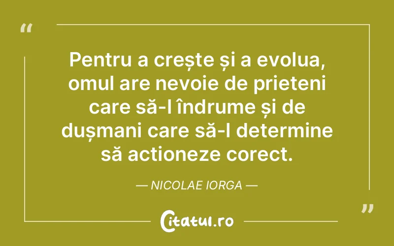 Citat Nicolae Iorga - citate prietenie