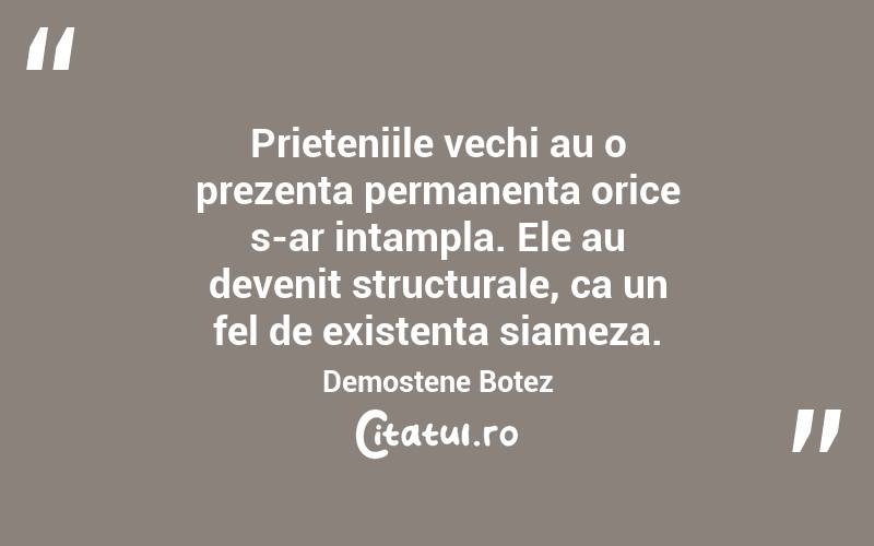 Prieteniile vechi au o prezenta permanenta orice s-ar intampla. Ele au devenit structurale, ca un fel de existenta siameza. Demostene Botez