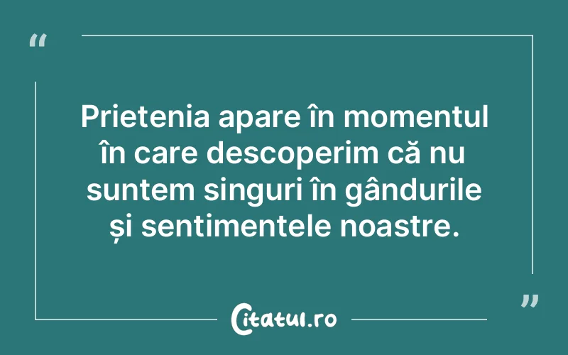 Citat Autor necunoscut - citate prietenie