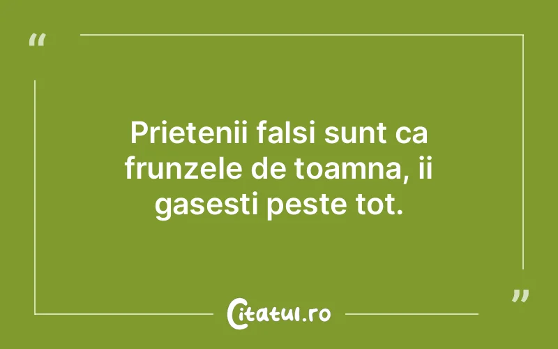 Citat Autor necunoscut - citate prietenie