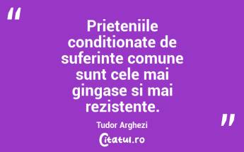 Adevarata prietenie incepe atunci cand tacerea dintre doi oameni devine confortabila. Dave Tyson Gentry...
