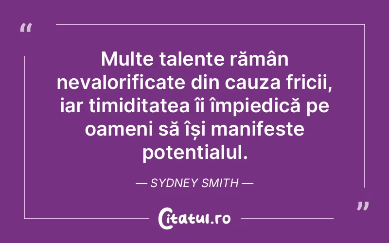 Citat Sydney Smith - citate prietenie