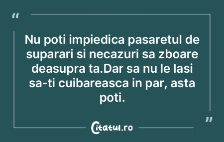 De ce mi-ar pasa de ceea ce spun ceilalt...