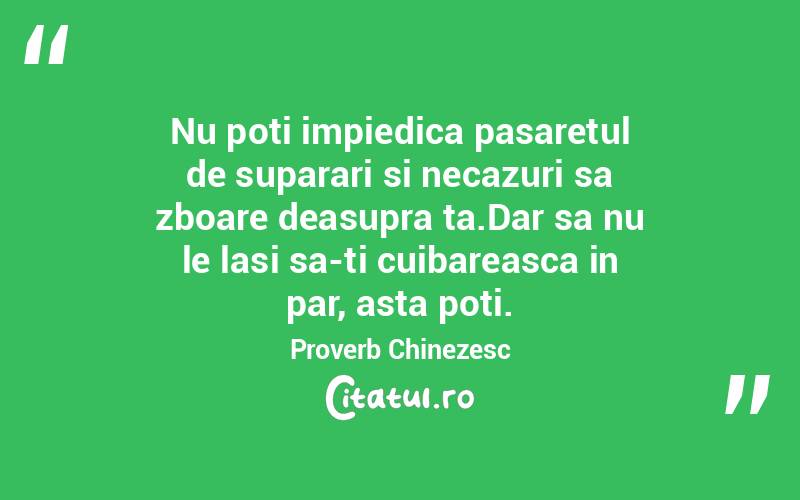 Nu poti impiedica pasaretul de suparari si necazuri sa zboare deasupra ta.Dar sa nu le lasi sa-ti cuibareasca in par, asta poti. Proverb Chinezesc