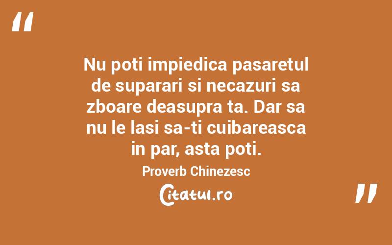 Nu poti impiedica pasaretul de suparari si necazuri sa zboare deasupra ta. Dar sa nu le lasi sa-ti cuibareasca in par, asta poti. Proverb Chinezesc