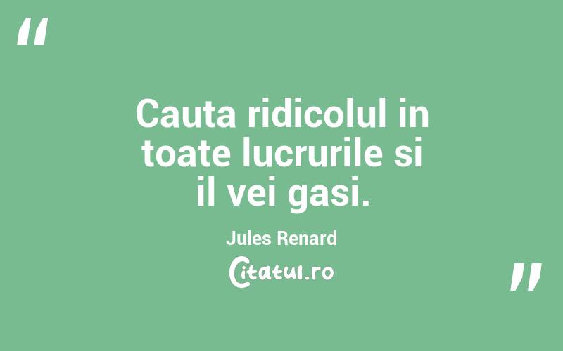 Cauta ridicolul in toate lucrurile si il vei gasi. Jules Renard