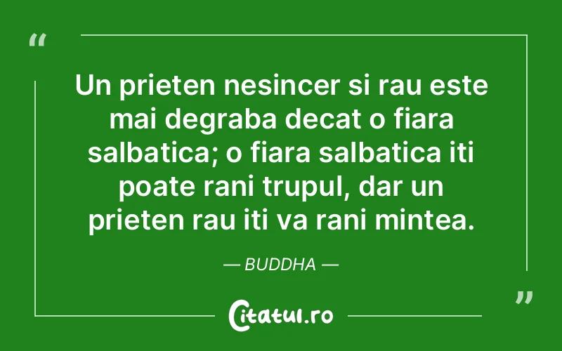 Citat Buddha - citate prietenie