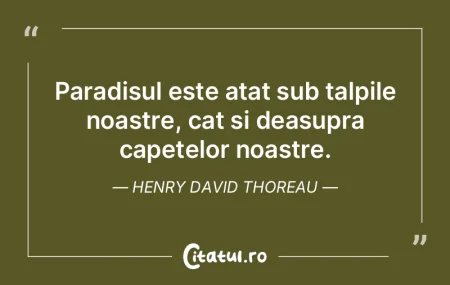 Gandeste maret, dar bazeaza-te pe micile...