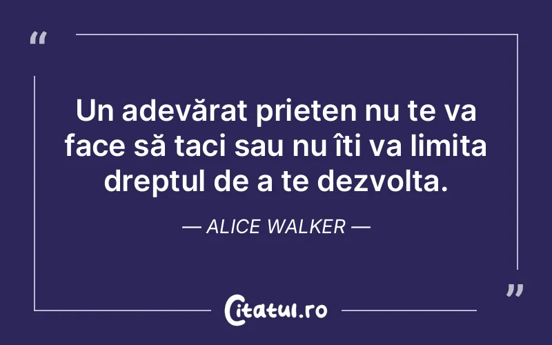 Citat Alice Walker - citate prietenie