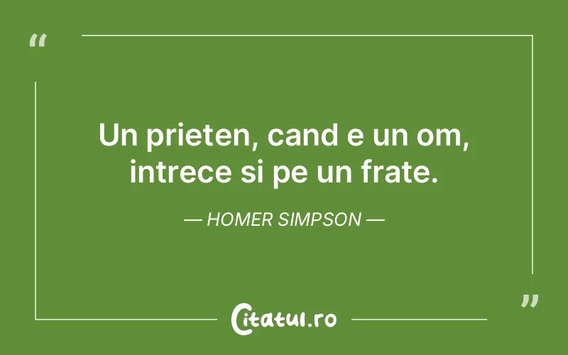 Citat Homer Simpson - citate prietenie