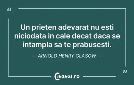 Prietenii falsi sunt ca umbrele noastre....