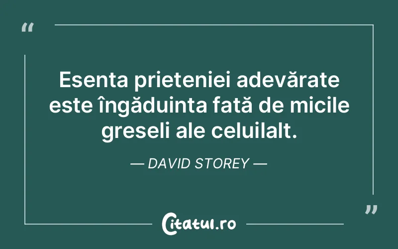 Citat David Storey - citate prietenie