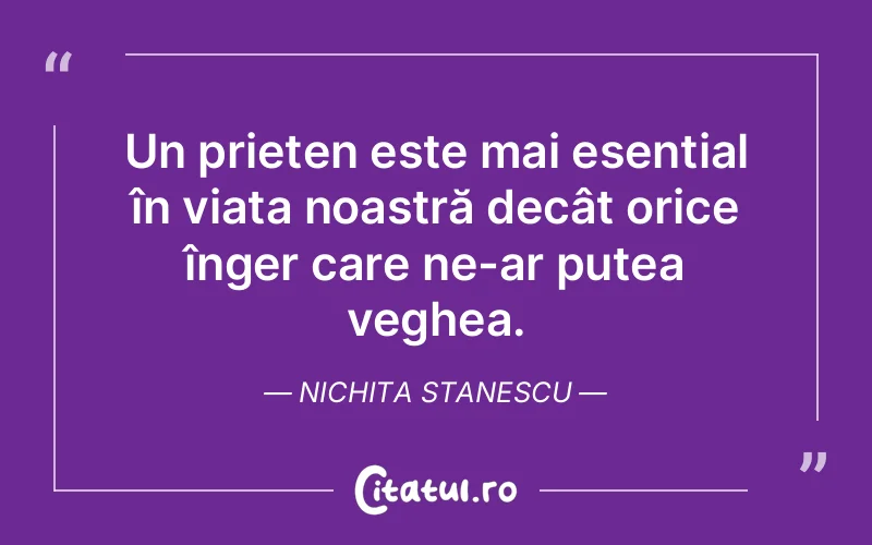 Citat Nichita Stanescu - citate prietenie