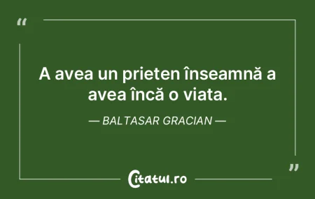 Prietenia este floarea unei clipe și fr...