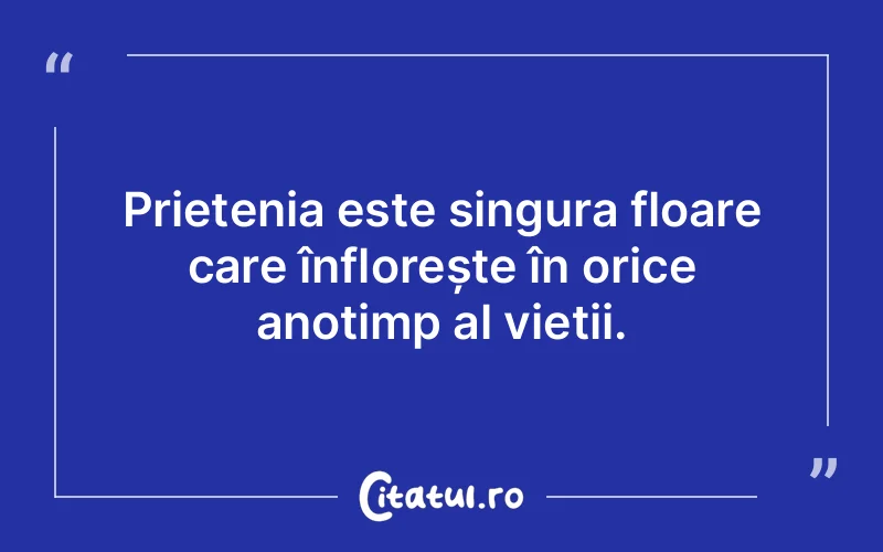 Citat Autor necunoscut - citate prietenie