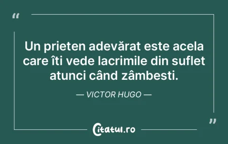 Prietenii sunt acele stele care îți lu...