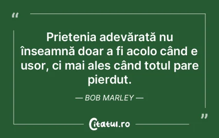Prietenia nu se măsoară în numărul d...